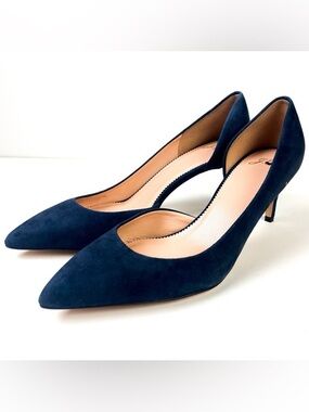 J Crew Lucie Suede Pointed-Toe Pump